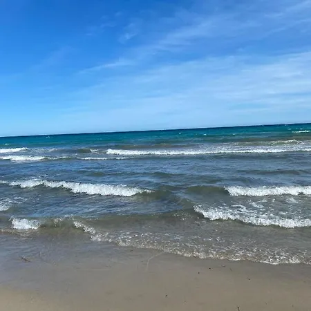 Vandrarhem El Dorado